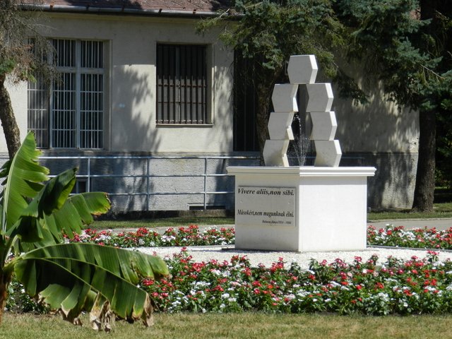 Semmelweis nap 2017 056